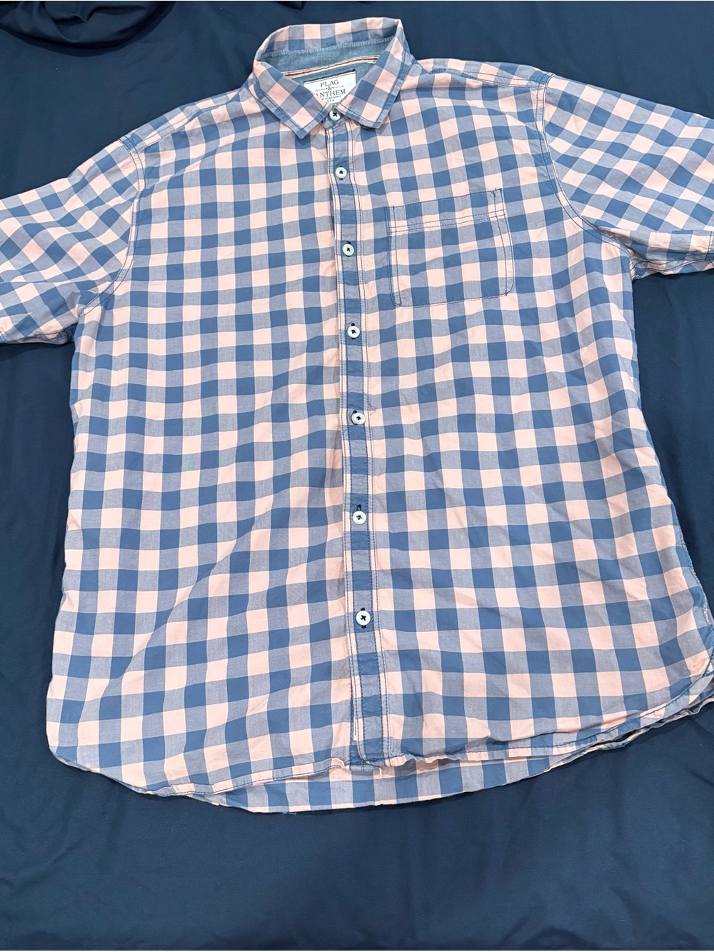Flag & Anthem Pink and Blue Gingham Button-Down Shirt